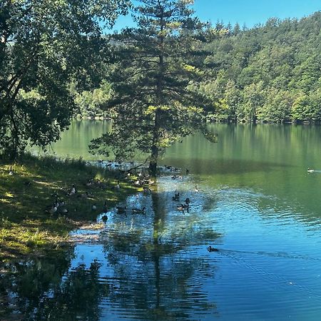 La Planque Du Raton Laveur Aparthotel Lierneux Εξωτερικό φωτογραφία